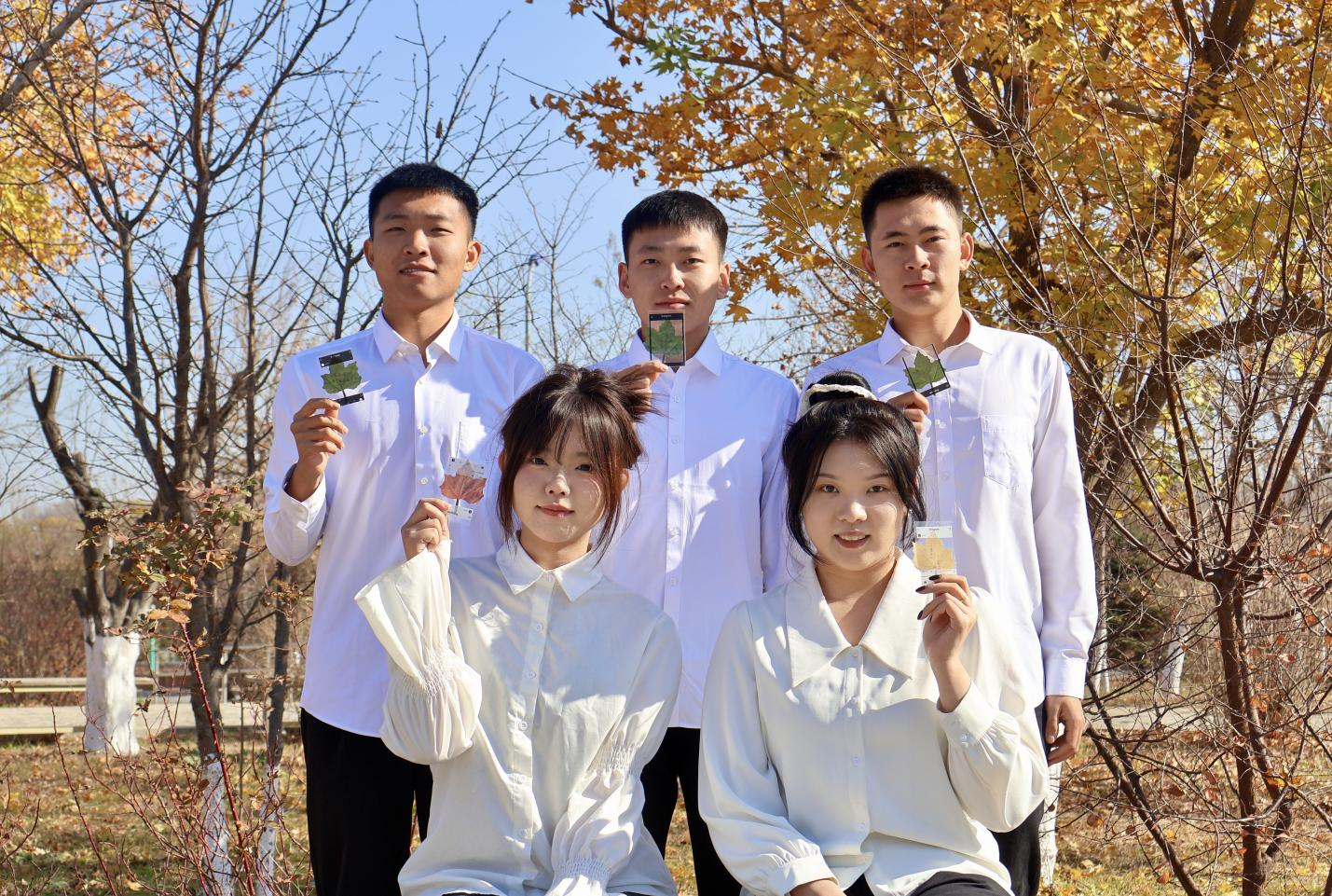 图片1.png 图片1.png