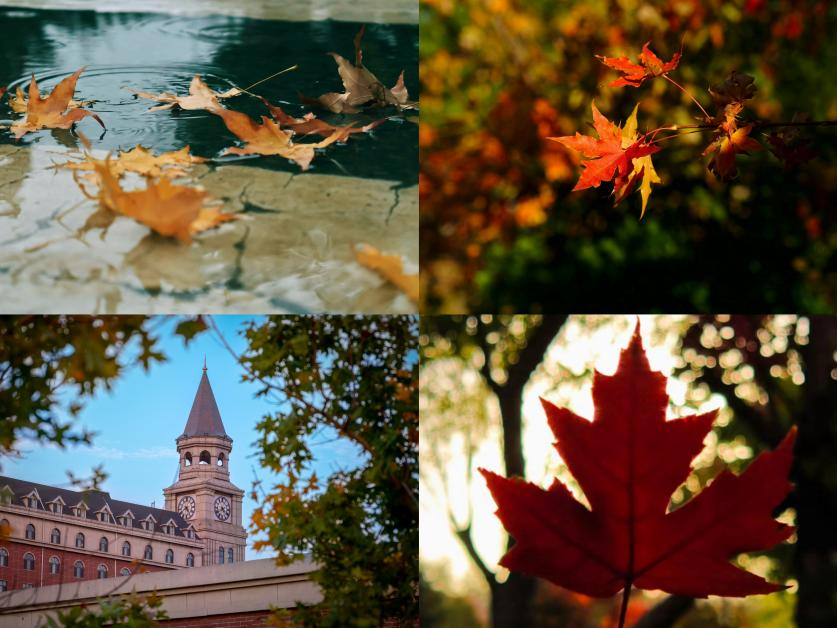 图片2.png 图片2.png